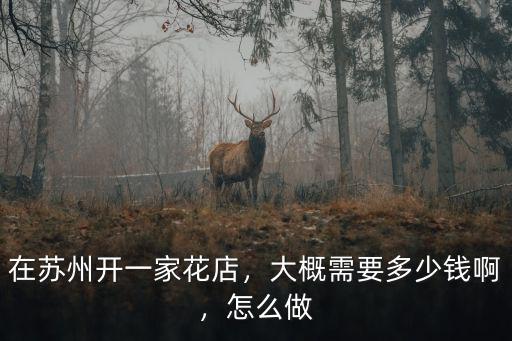 蘇州哪里花多少錢,大概需要多少錢啊