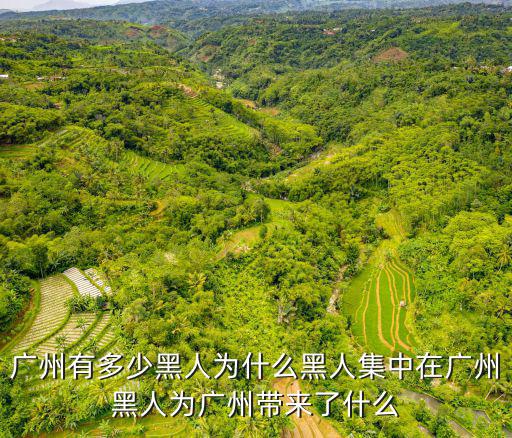 廣州黑人有多少人入境,廣州有多少黑人