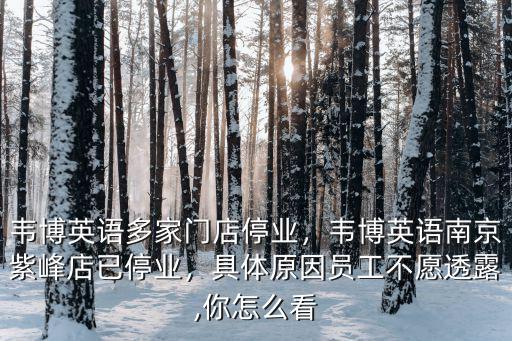 韋博英語多家門店停業(yè)，韋博英語南京紫峰店已停業(yè)，具體原因員工不愿透露,你怎么看