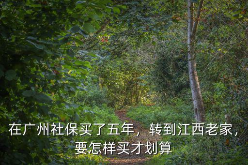 在廣州社保買了五年，轉到江西老家，要怎樣買才劃算