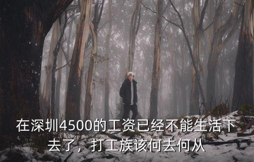 在深圳工資低于4000怎么生活,在深圳當文員