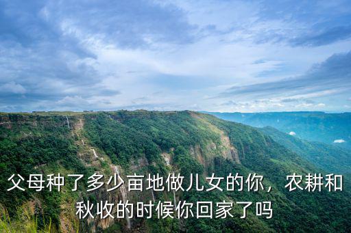 父母種了多少畝地做兒女的你，農(nóng)耕和秋收的時候你回家了嗎