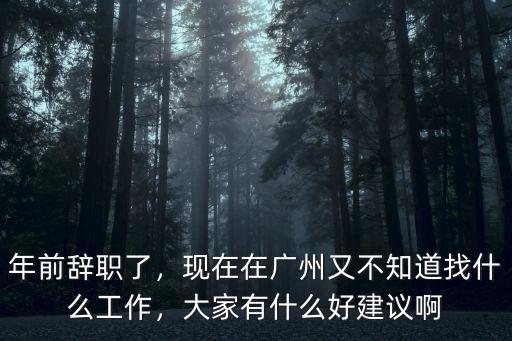 年前辭職了，現在在廣州又不知道找什么工作，大家有什么好建議啊