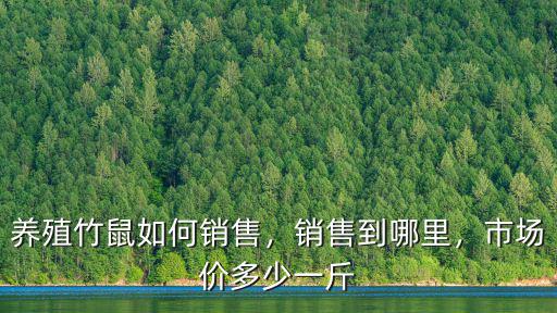 中山竹鼠價(jià)格多少一斤,市場價(jià)多少一斤