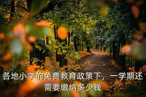 在廣州上小學要多少錢一個月多少錢,一學期還需要繳納多少錢