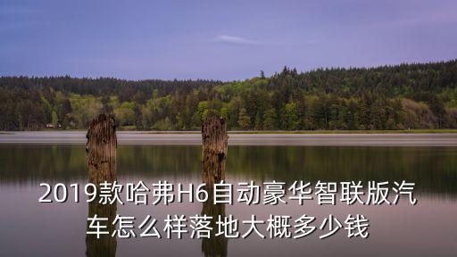 廣東省智聯(lián)科技版落地多少錢,落地大概多少錢