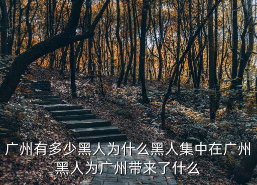 廣州共有多少黑人居住,廣州有多少黑人
