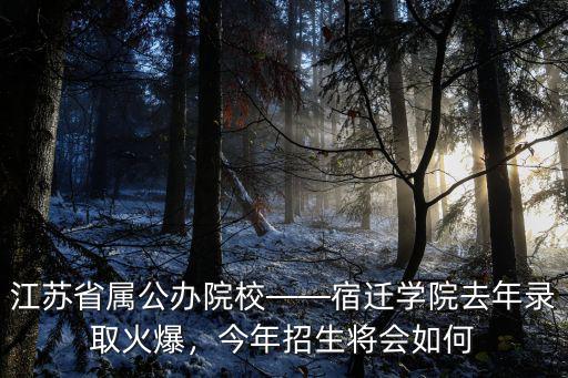 宿遷學院今年估計漲多少分,宿遷學院怎么樣