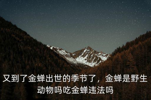 深圳哪里有野生金蟬,請問收售野生金蟬違法么
