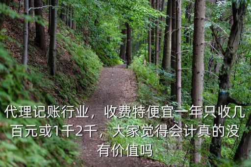 深圳代理記賬一年收費(fèi)多少,代理記賬行業(yè)