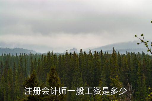 注冊會計師一般工資是多少