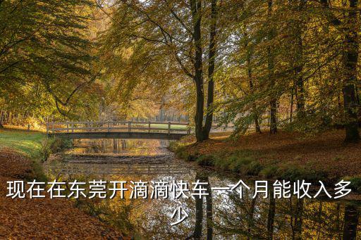 現在在東莞開滴滴快車一個月能收入多少