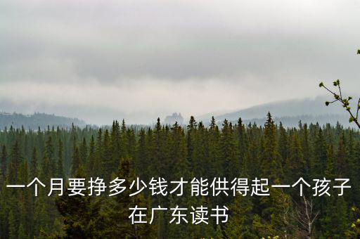 一個(gè)月要掙多少錢才能供得起一個(gè)孩子在廣東讀書