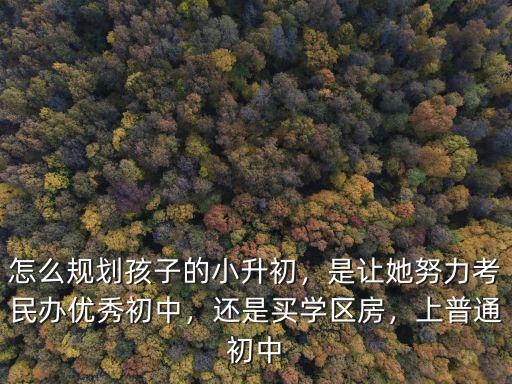東莞的小升初怎么選,怎么規劃孩子的小升初