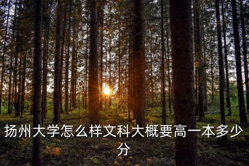 揚(yáng)州大學(xué)怎么樣文科大概要高一本多少分
