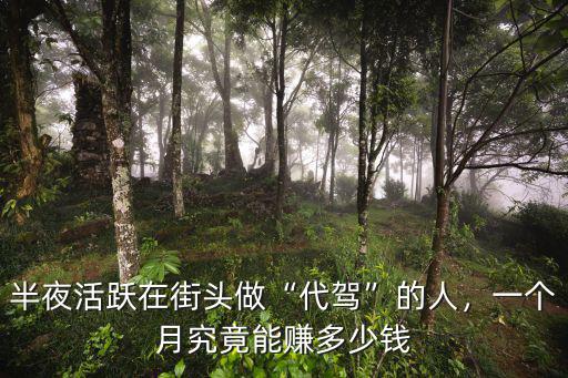 深圳做代駕一月能掙多少錢,半夜活躍在街頭做代駕的人