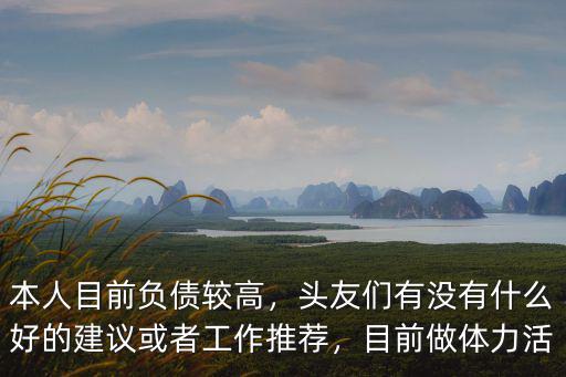 本人目前負債較高，頭友們有沒有什么好的建議或者工作推薦，目前做體力活