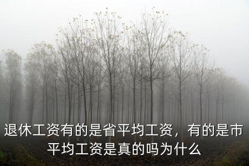 廣東省平均社平工資是多少,退休工資有的是省平均工資