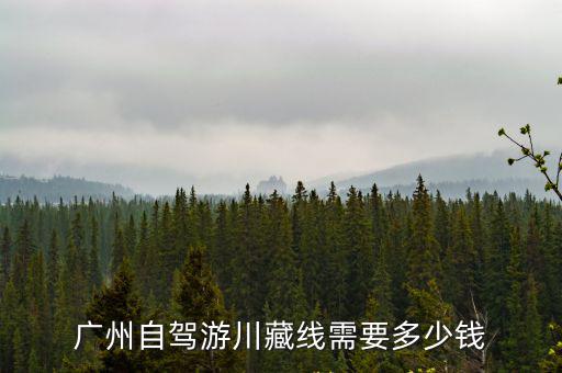 合肥去廣州自駕游費用大概多少費用多少,廣州自駕游川藏線需要多少錢