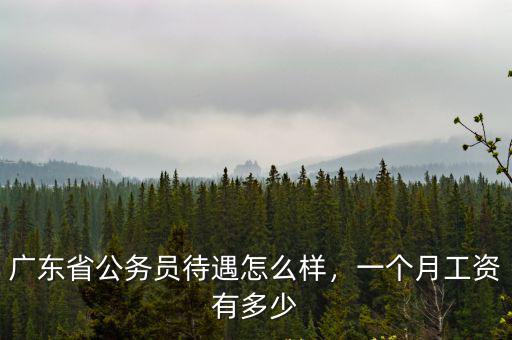 廣東省汕尾市公安局人員工資多少,一個月工資有多少
