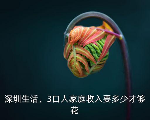 老鐵深圳要多少工資才夠交房租,工資只夠交房租