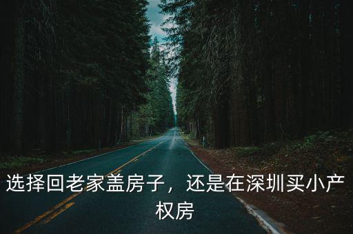 選擇回老家蓋房子，還是在深圳買小產權房