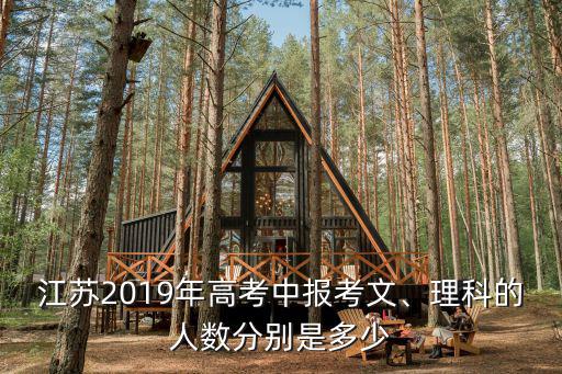 2019年淮安高考人數是多少,江蘇2019年高考中報考文