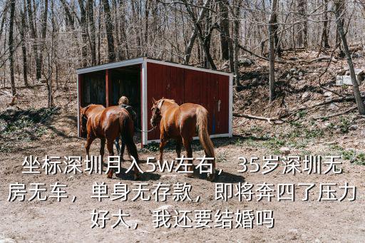 坐標深圳月入5w左右，35歲深圳無房無車，單身無存款，即將奔四了壓力好大，我還要結婚嗎