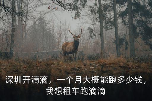 深圳開滴滴，一個月大概能跑多少錢，我想租車跑滴滴