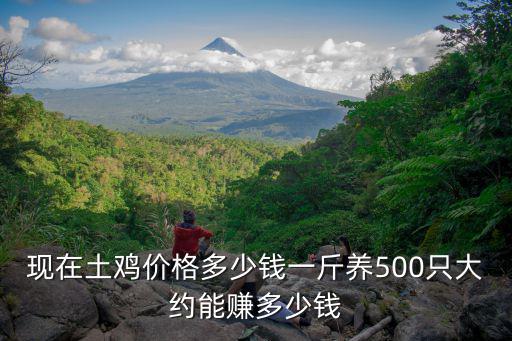 現在土雞價格多少錢一斤養500只大約能賺多少錢