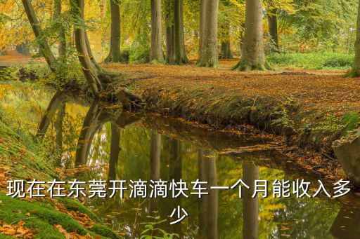 在東莞跑滴滴多少錢,在東莞跑滴滴發(fā)展前景咋樣