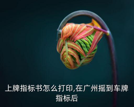 廣州上牌指標書怎么打印,在廣州搖到車牌指標后