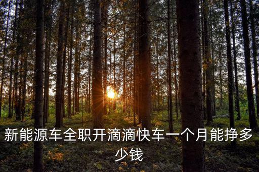 云浮跑滴滴一個(gè)月能賺多少錢,晚上下班和周末跑滴滴
