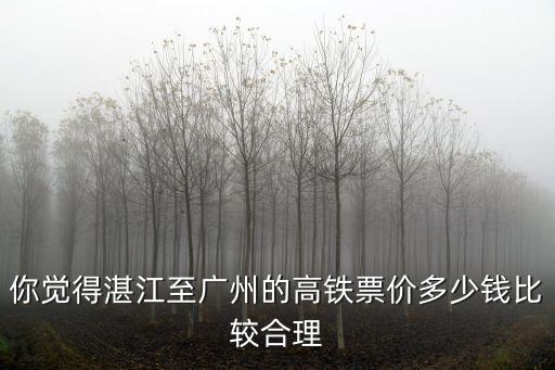 從高州到湛江高鐵票價多少錢,粵西高鐵票價為什么貴