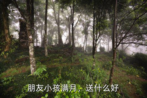 南京好朋友女兒滿月出多少錢,朋友小孩滿月