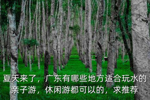 廣州哪里可以泡海水的,休閑游都可以的