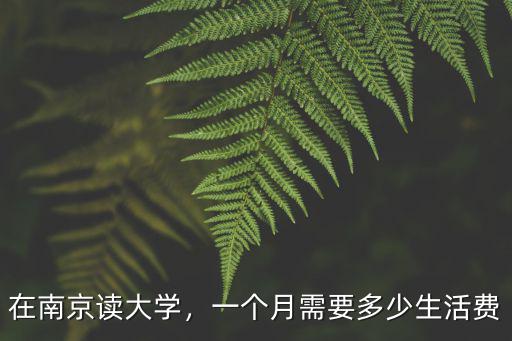 在南京讀大學(xué)，一個(gè)月需要多少生活費(fèi)