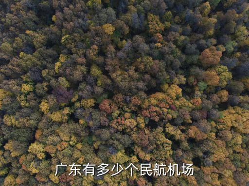 廣東空軍有多少人口,廣東有多少個民航機場