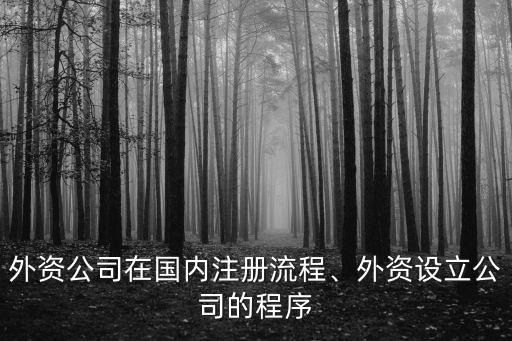 珠海外資公司注冊怎么辦,外資設立公司的程序