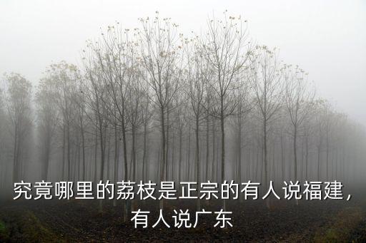 正宗廣東鮮荔枝是哪里,廣西哪里的荔枝好吃