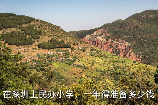 請問深圳小學學費現在要多少錢,在深圳上民辦小學