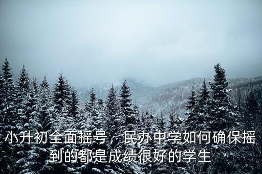 小升初全面搖號，民辦中學如何確保搖到的都是成績很好的學生