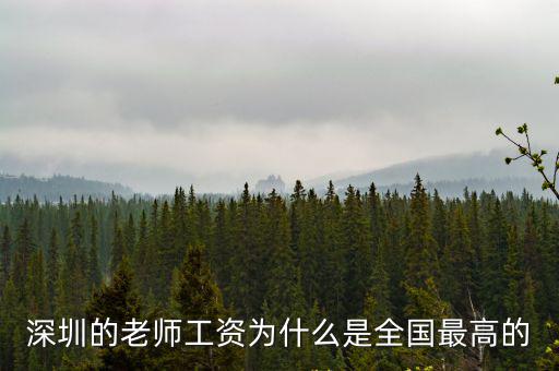 深圳的老師工資為什么是全國最高的