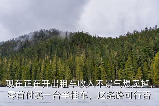 現(xiàn)在正在開(kāi)出租車(chē)收入不景氣想賣(mài)掉，零首付買(mǎi)一臺(tái)半掛車(chē)，這條路可行否