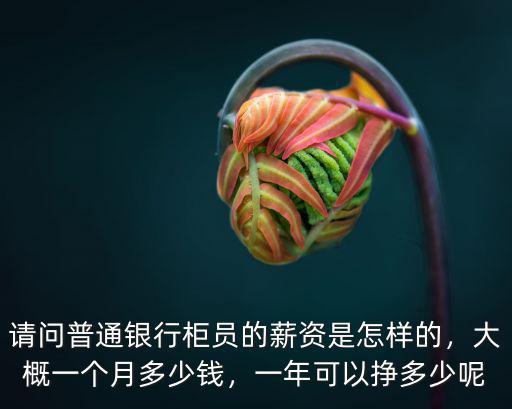 請問普通銀行柜員的薪資是怎樣的，大概一個月多少錢，一年可以掙多少呢