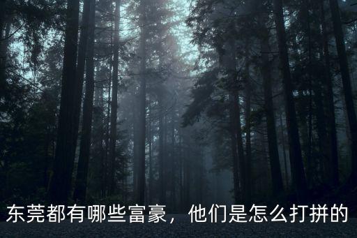 東莞東富集團(tuán)有多少財(cái)富,東莞到底有多富裕