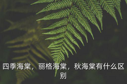 四季海棠，麗格海棠，秋海棠有什么區別