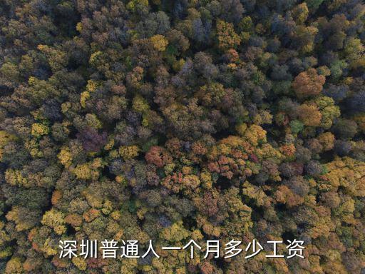 深圳普通人一個月多少工資