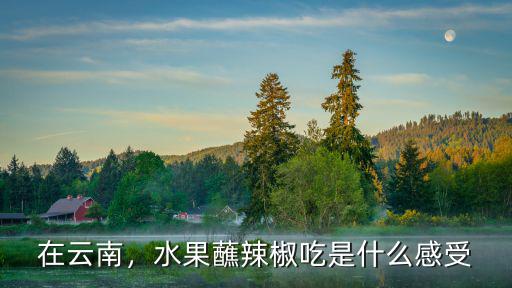 廣東蘸水果辣椒面怎么做,水果蘸辣椒吃是什么感受