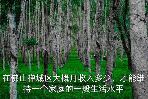 在佛山禪城區(qū)大概月收入多少，才能維持一個家庭的一般生活水平